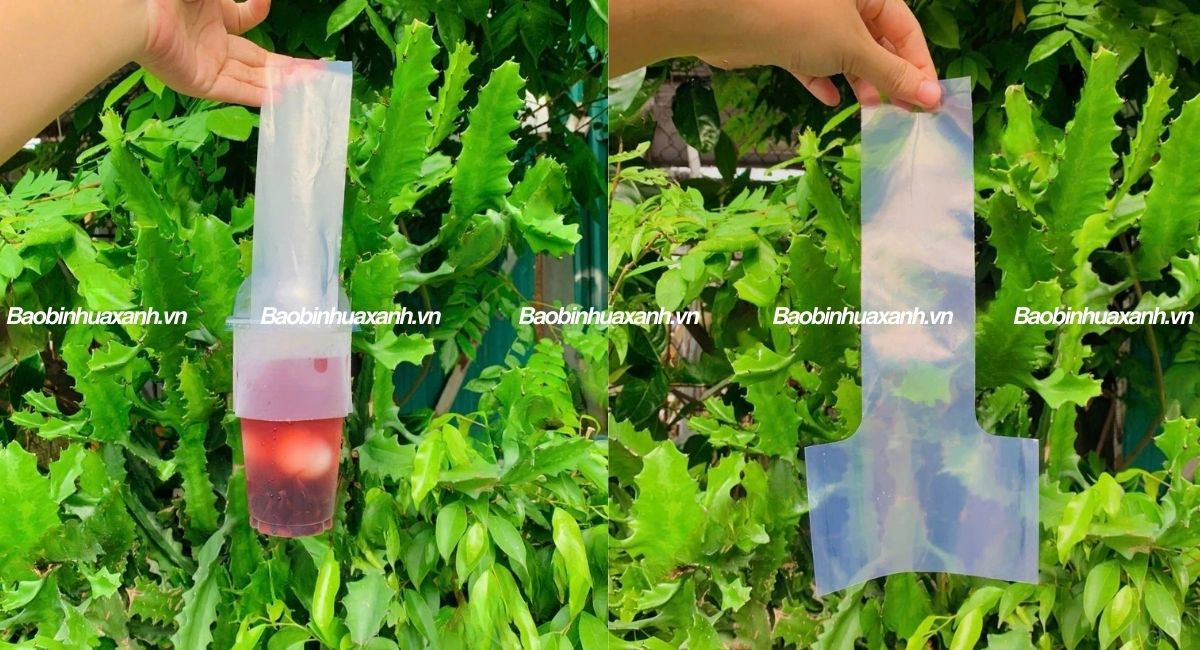 Túi chữ T giá rẻ