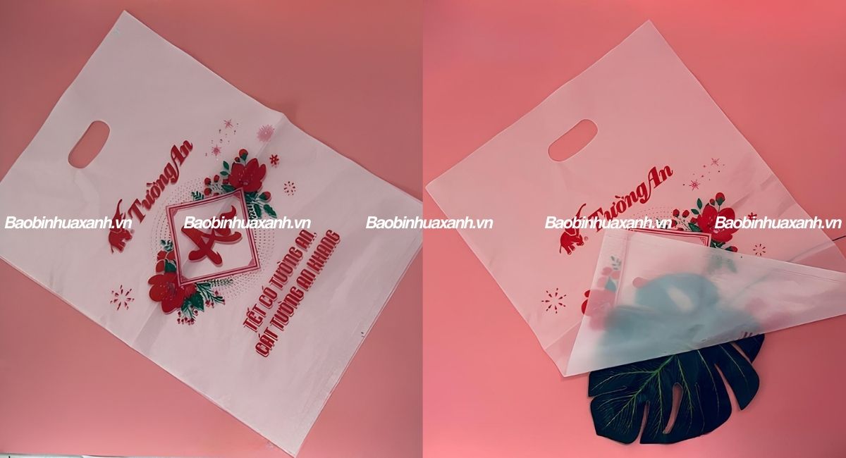 In túi xoài chúc mừng năm mới