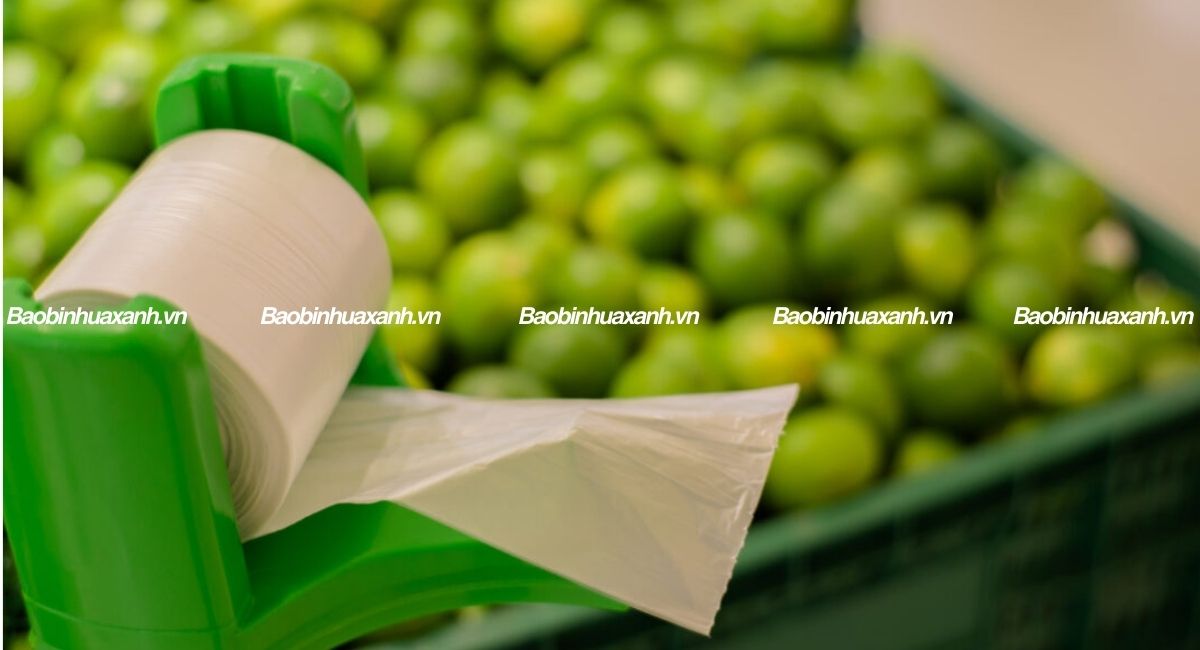 Túi đựng thực phẩm tự hủy sinh học