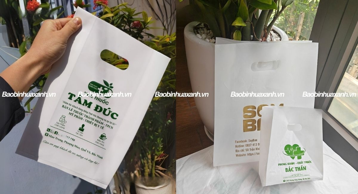 Túi hột xoài tự hủy