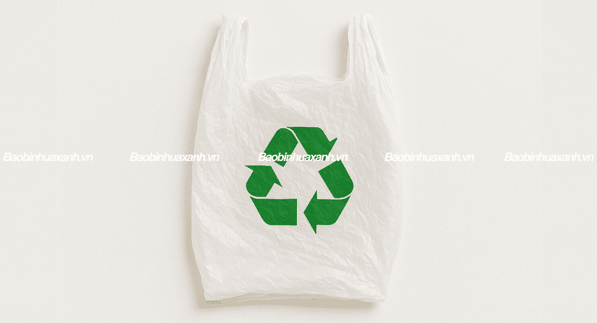 Túi tái chế là gì?