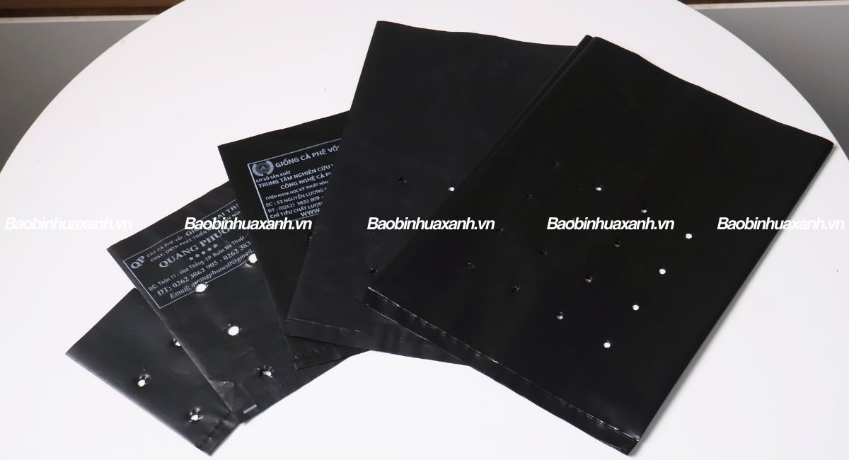 Túi ươm cây giống