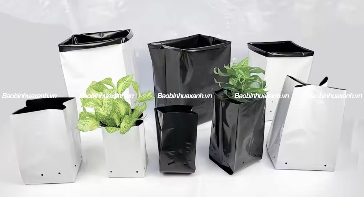Túi ươm cây 2 da