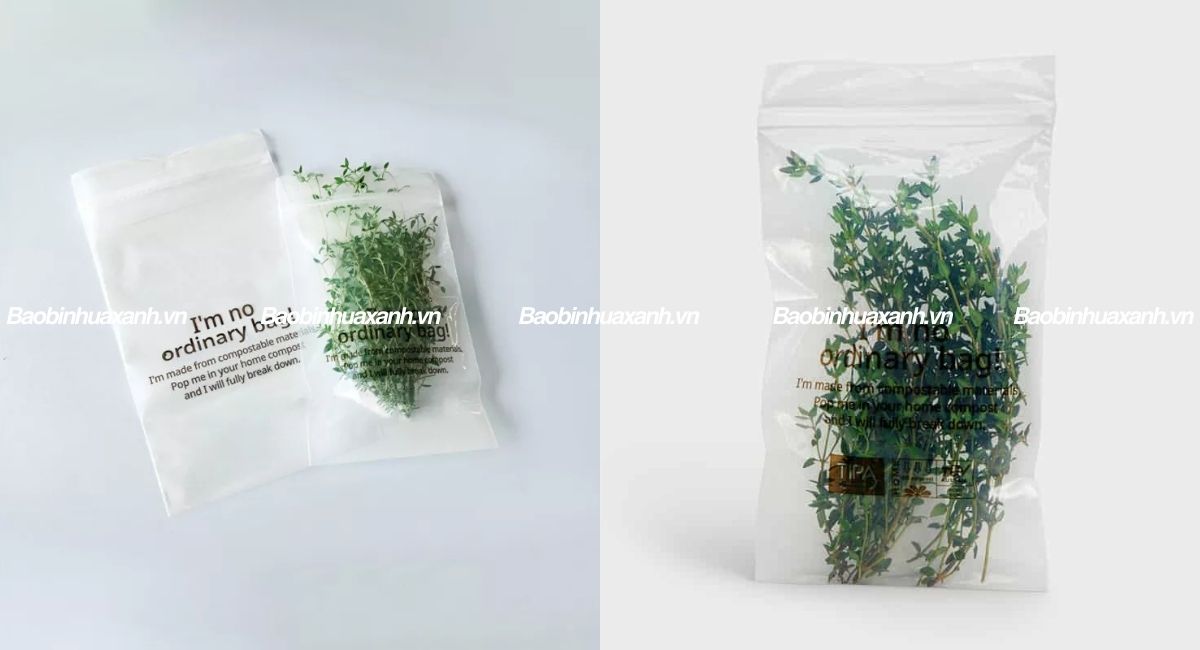 túi zipper tự hủy đựng thực phẩm