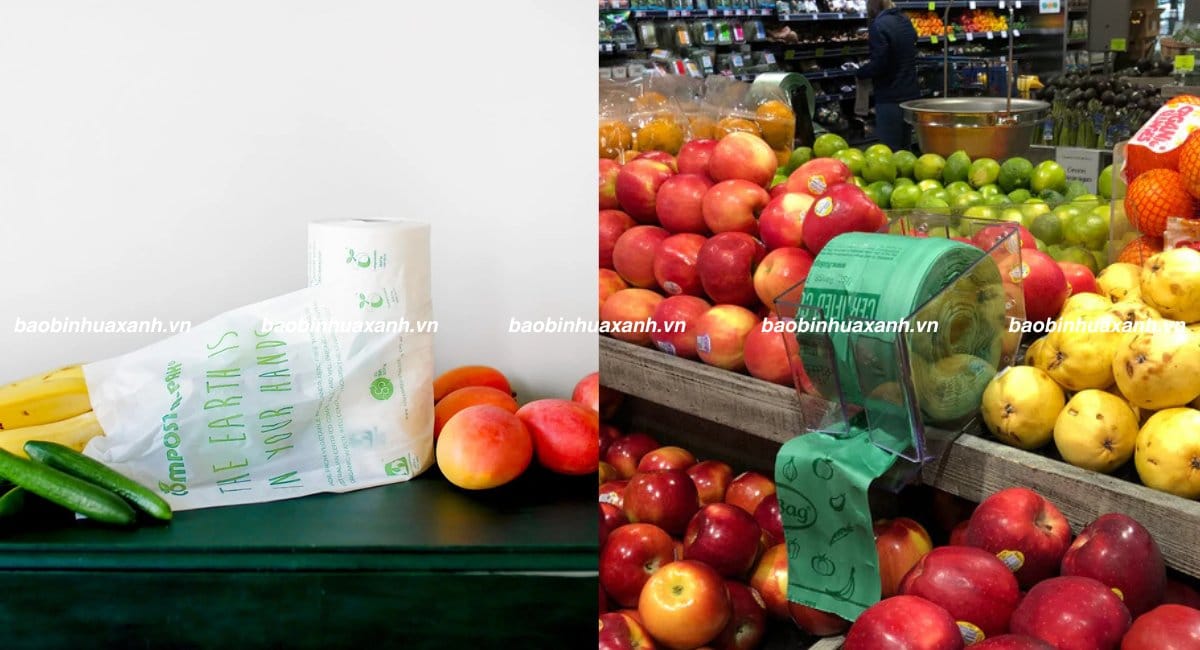 Túi đựng thực phẩm tự hủy sinh học