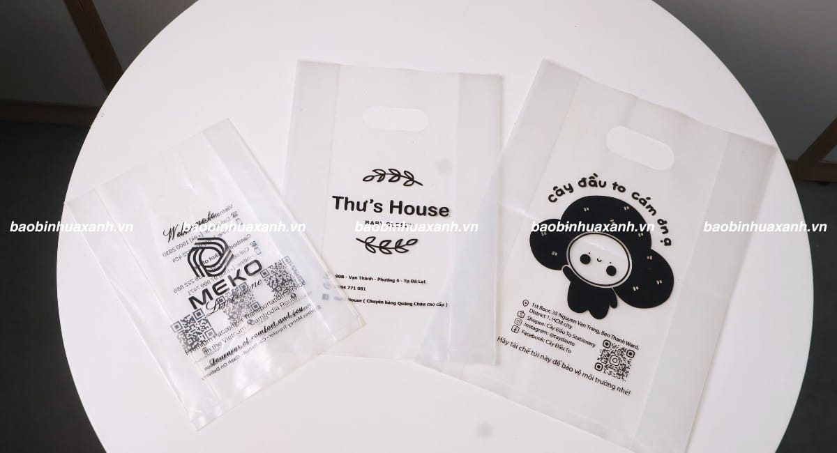 Túi hột xoài trong suốt