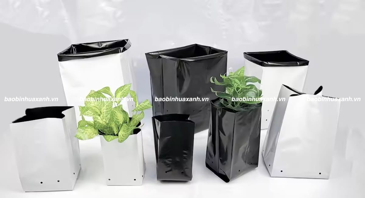 Túi ươm cây 2 da