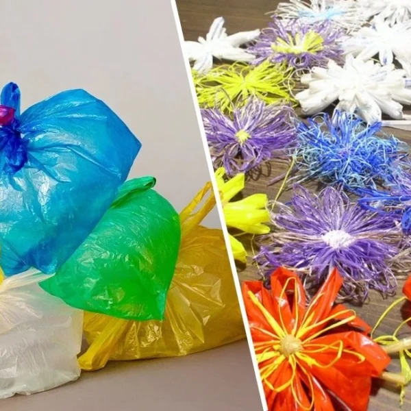 Tổng Hợp 10 Cách Tái Sử Dụng Tái Chế Túi Ni Lông Hiệu Quả, Cực Kỳ Đơn Giản