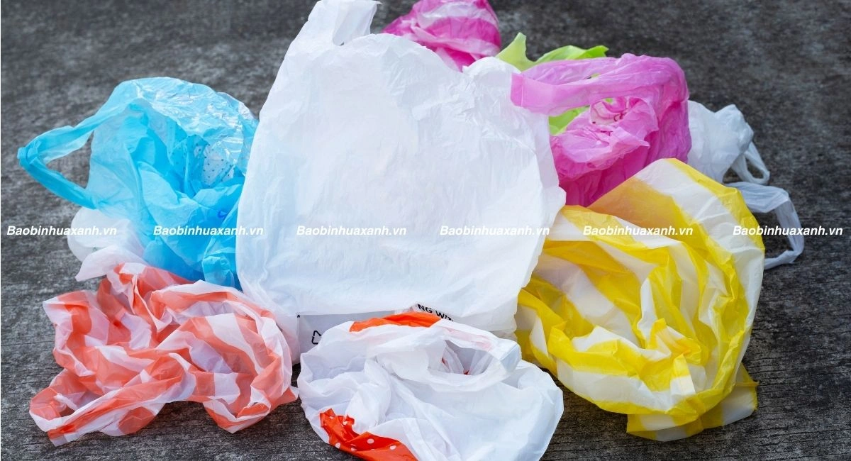 Túi ni lông là gì