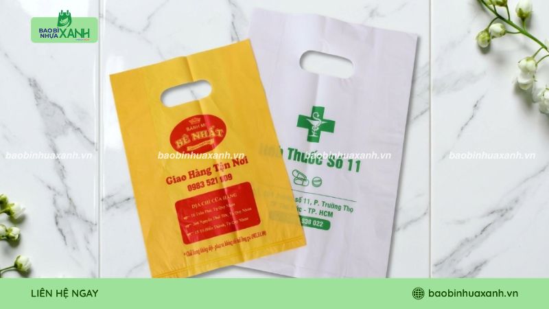 Hai mẫu túi hột xoài tái chế