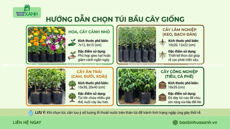 Hướng dẫn chọn túi bầu ươm cây giống