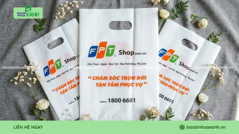 Mẫu túi hột xoài FPT