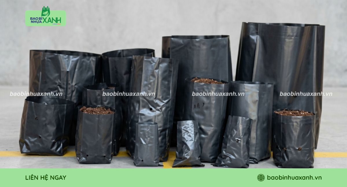 Mẫu túi trồng cây cà phê đa dạng kích thước