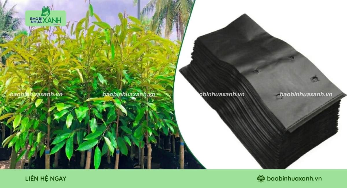 Mẫu túi trồng cây sầu riêng theo yêu cầu