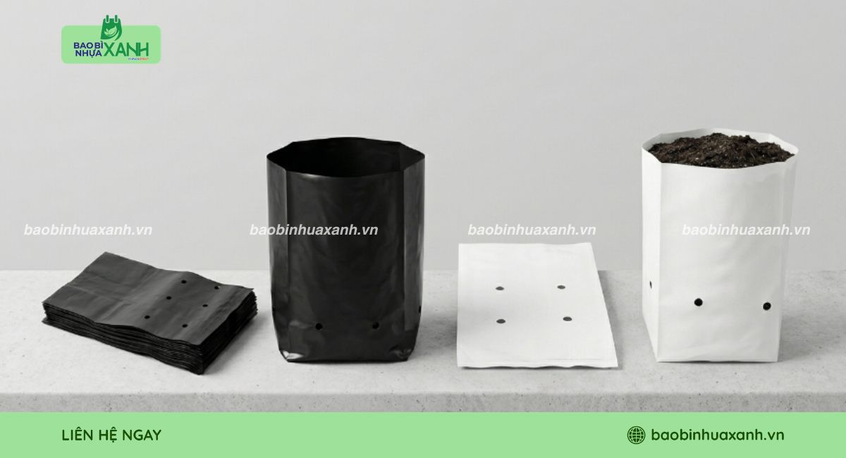 Mẫu túi trồng gừng theo yêu cầu