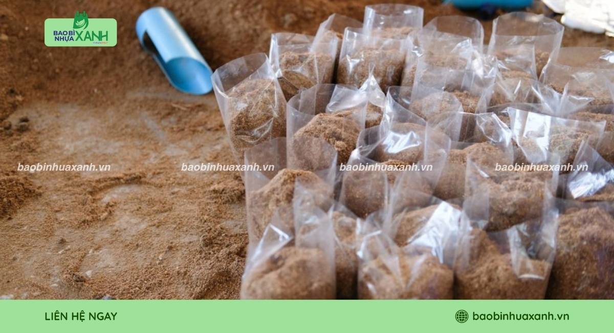 Mẫu túi trồng nấm số lượng lớn