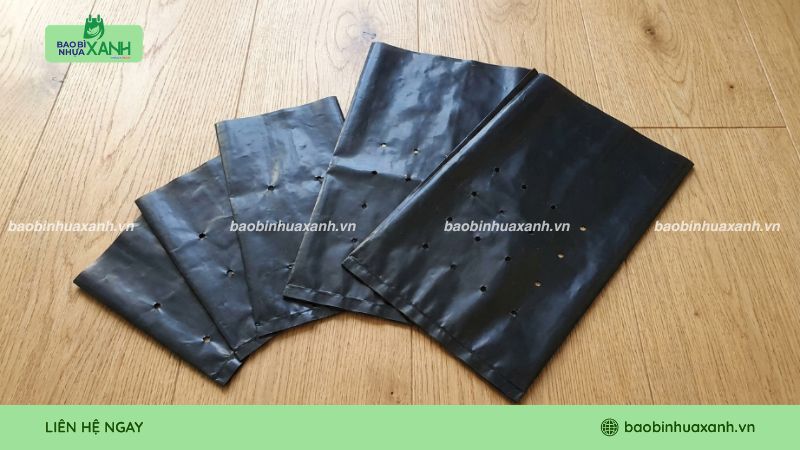 Mẫu túi ươm cây tái chế