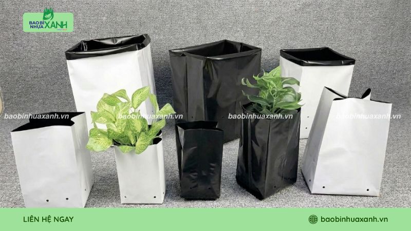 Túi ươm cây tái chế đa dạng kích thước, có đục lỗ