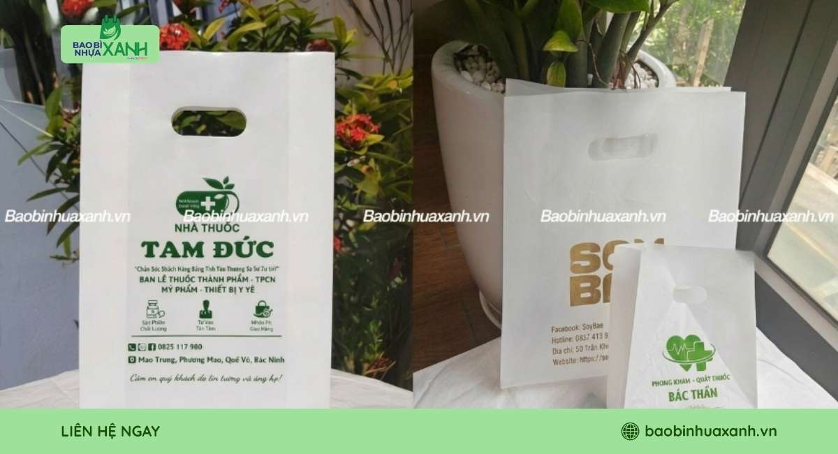 Túi hột xoài phù hợp cho nhà thuốc