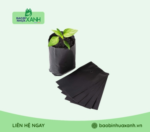 Túi trồng cây cà phê