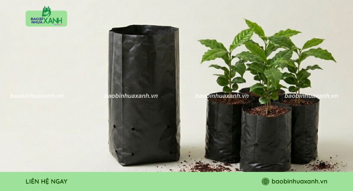 Túi trồng cây cà phê giá tốt, nhiều kích thước