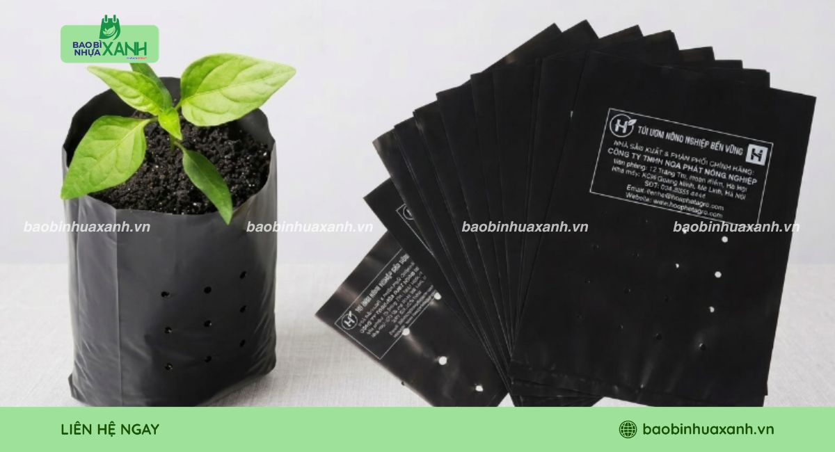 Túi trồng cây dẻo dai