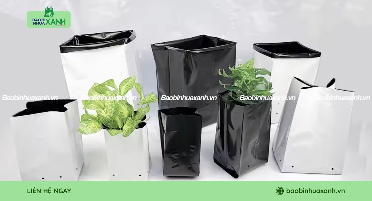 Túi trồng cây sản xuất theo yêu cầu