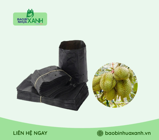 Túi trồng cây sầu riêng
