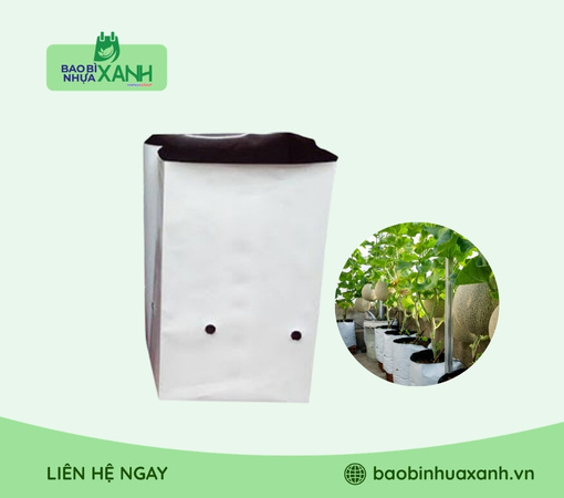 Túi trồng dưa lưới