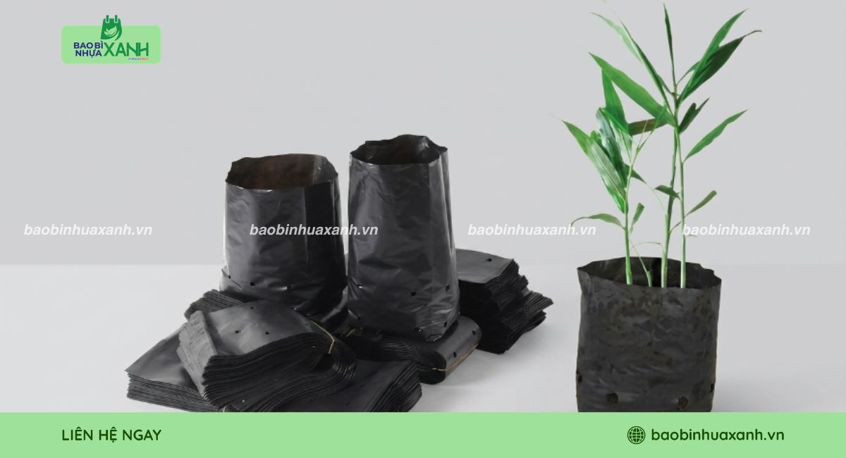 Túi trồng gừng giá tốt