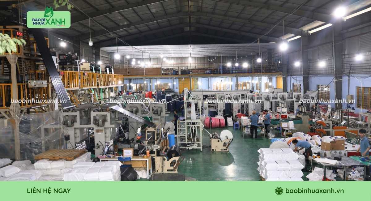 Xưởng sản xuất túi ươm cây vối uy tín Bao Bì Nhựa Xanh