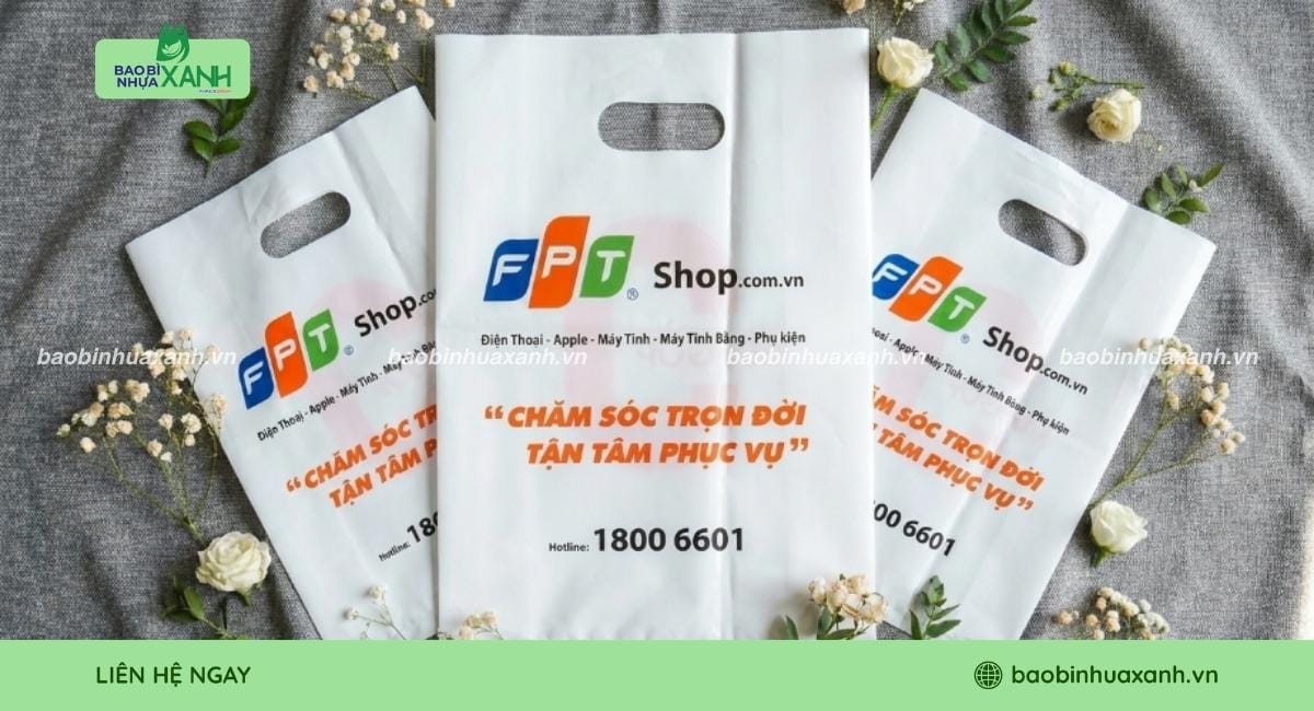 Mẫu in túi hột xoài chất lượng cao