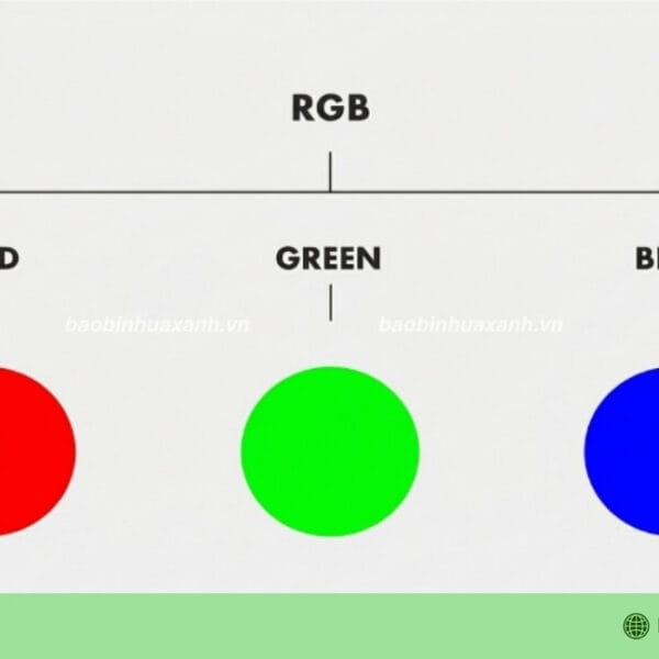 Hệ Màu RGB Là Gì? Những Lưu Ý Quan Trọng Khi In Bao Bì