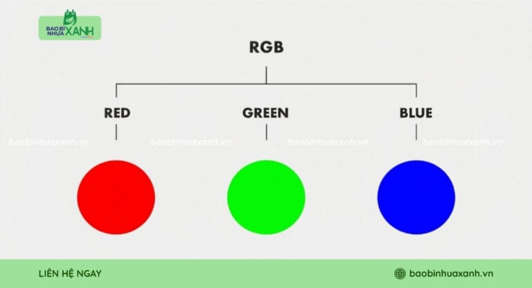 Hệ Màu RGB Là Gì? Những Lưu Ý Quan Trọng Khi In Bao Bì