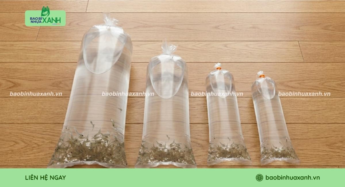 Mẫu túi đựng tôm giống nhiều kích thước lựa chọn