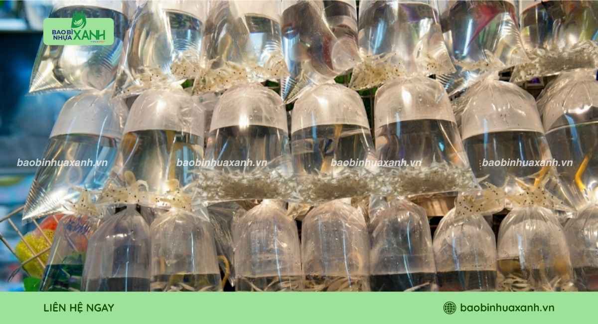 Mẫu túi đựng tôm giống số lượng lớn