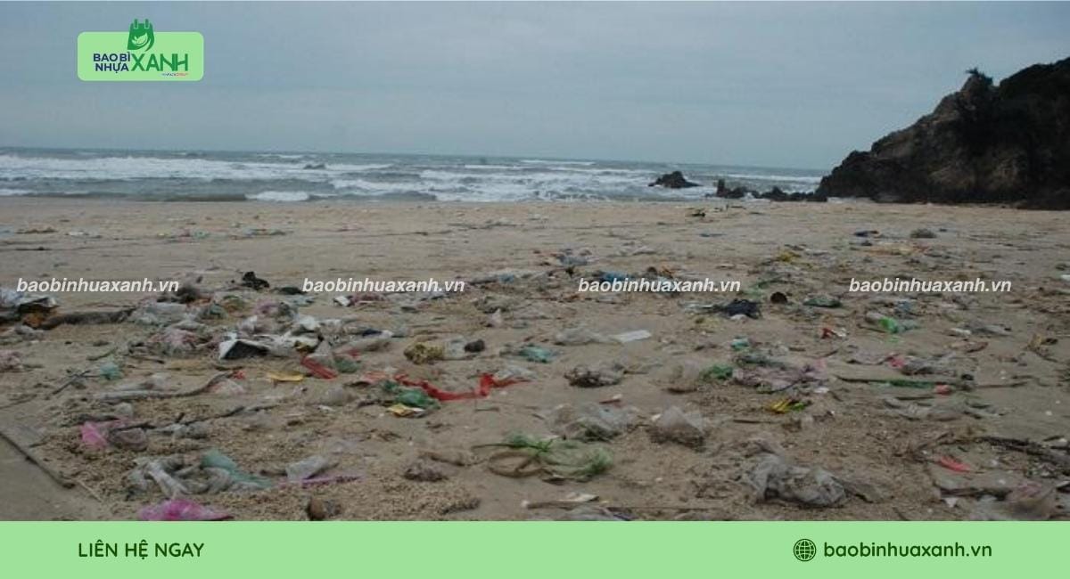 Rác thải túi nilon ảnh hưởng đến hệ sinh thái tự nhiên