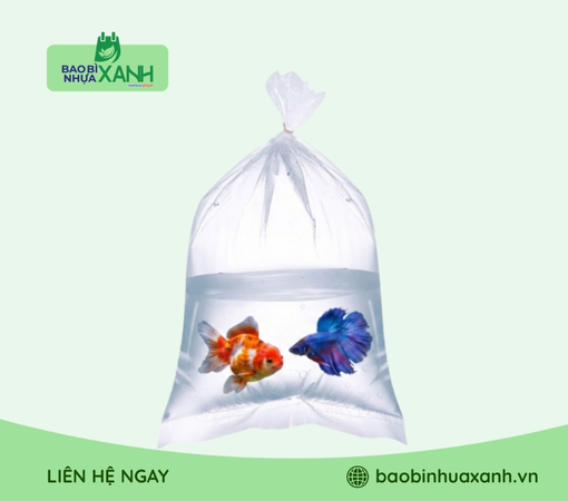 Túi đựng cá cảnh