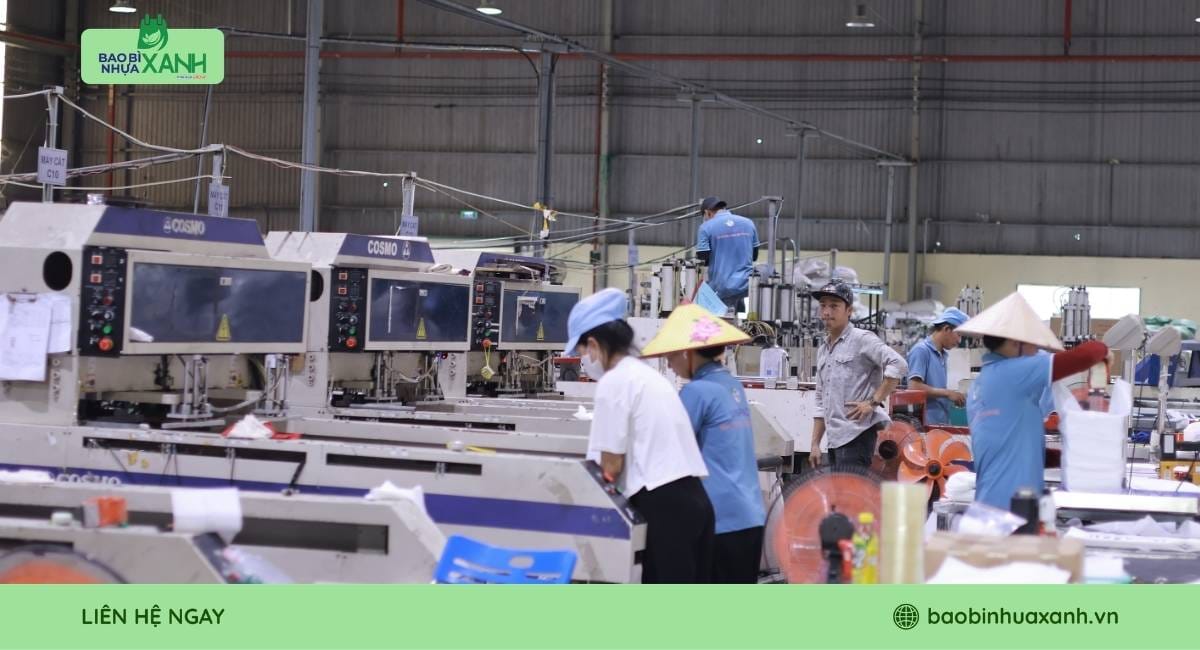 Bao Bì Nhựa Xanh xưởng chuyên sản xuất túi tự hủy sinh học đạt chuẩn ISO