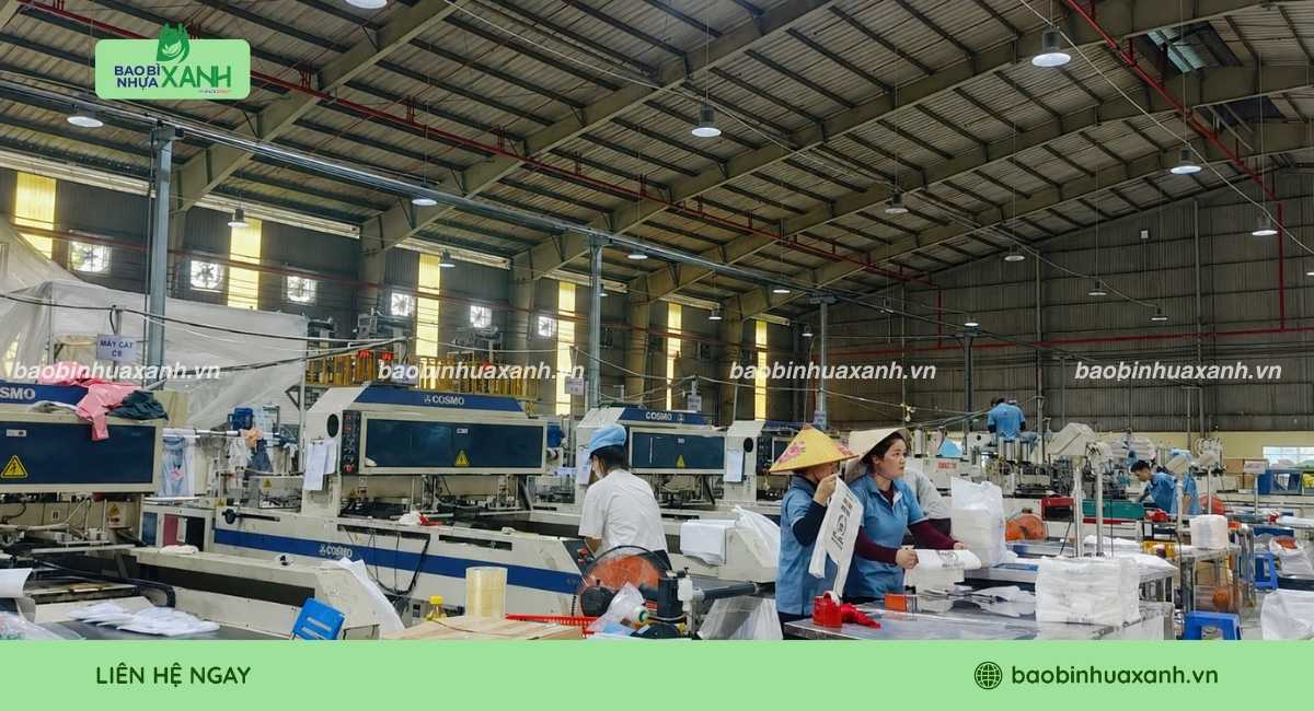 Xưởng sản xuất túi zipper quai xách Bao Bì Nhựa Xanh