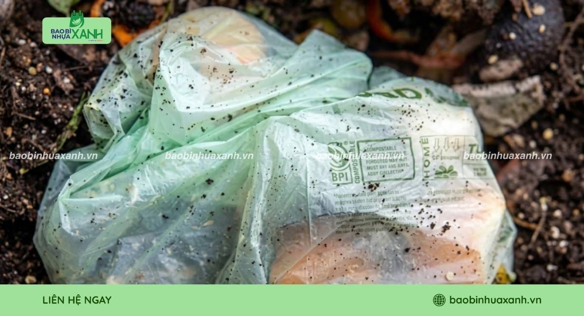 Bao bì phân hủy tại nhà