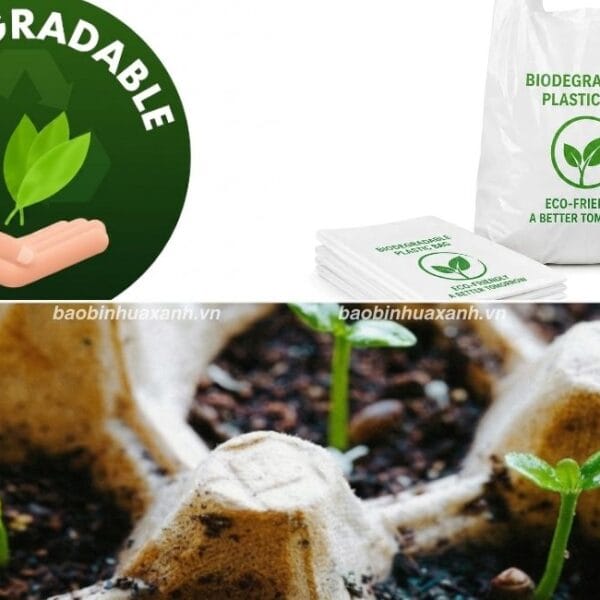Biodegradable Là Gì? Tìm Hiểu Vật Liệu Thân Thiện Môi Trường