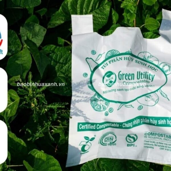 Chứng Nhận Túi Tự Hủy Và Cách Lựa Chọn Đúng Theo Nhu Cầu