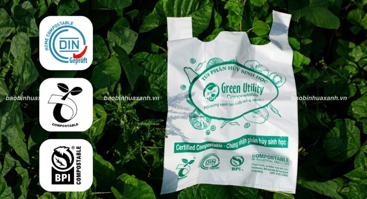 Chứng Nhận Túi Tự Hủy Và Cách Lựa Chọn Đúng Theo Nhu Cầu
