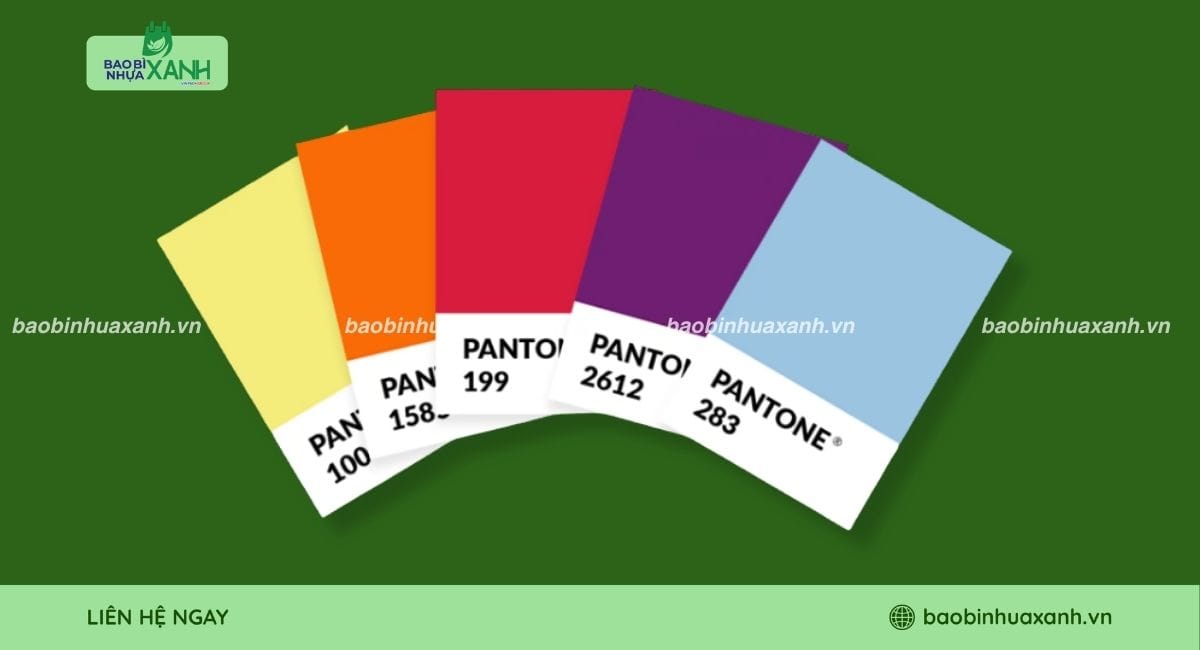 Chi tiết hệ màu Pantone