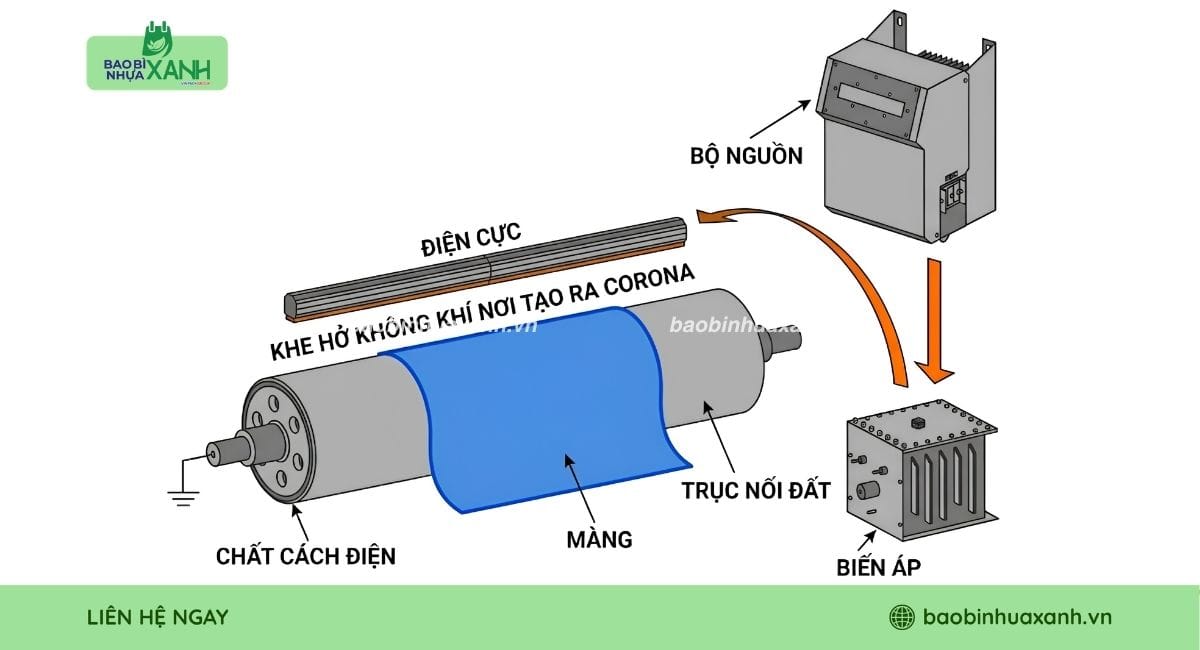 Chi tiết quy trình xử lý Corona