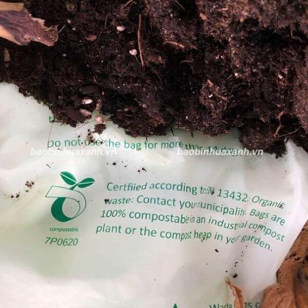 Compostable Là Gì? Điều Kiện Phân Hủy Và Ứng Dụng Thực Tế