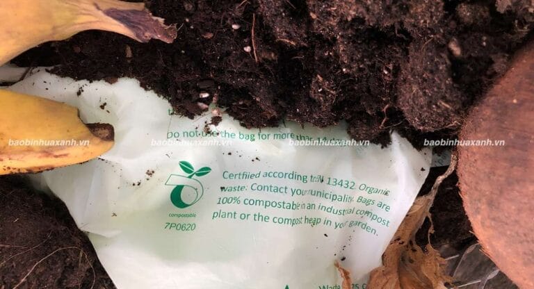 Compostable Là Gì? Điều Kiện Phân Hủy Và Ứng Dụng Thực Tế