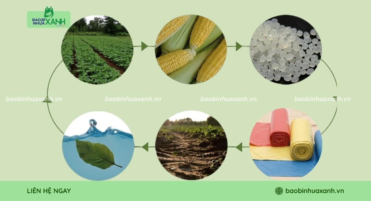 Giới thiệu nhựa Polyme phân hủy sinh học