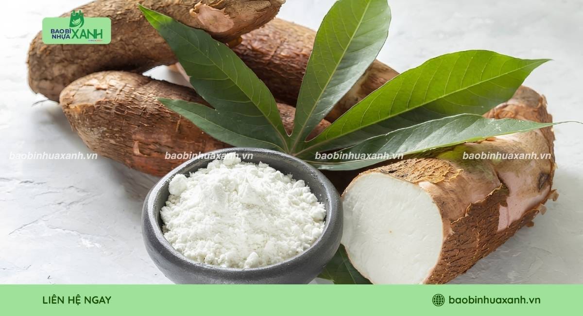 Giới thiệu về tinh bột sắn